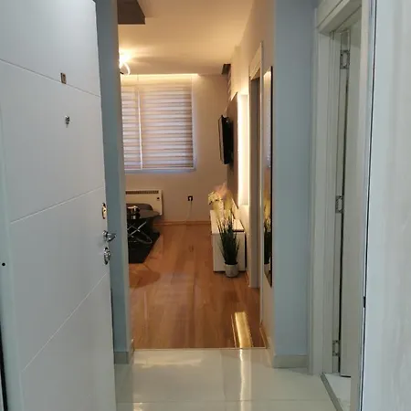 Apartament Nedic