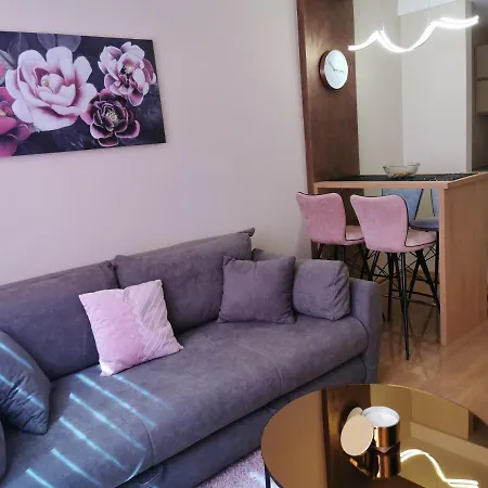 Nedic Apartament *