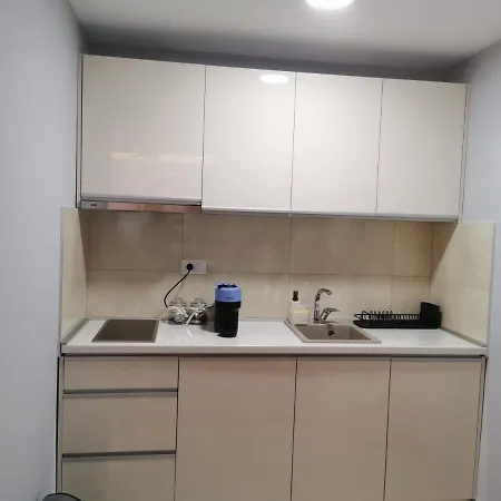 Nedic Apartament