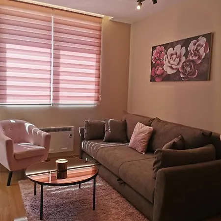 Nedic Apartament *
