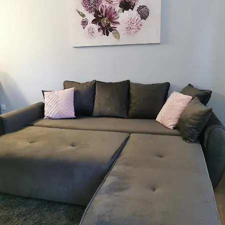 Apartament Nedic *