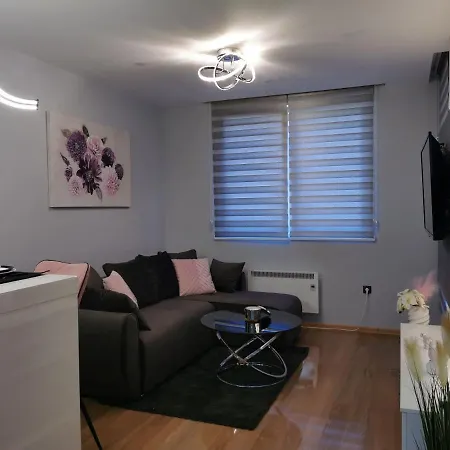 Apartament Nedic