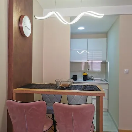 Apartament Nedic *