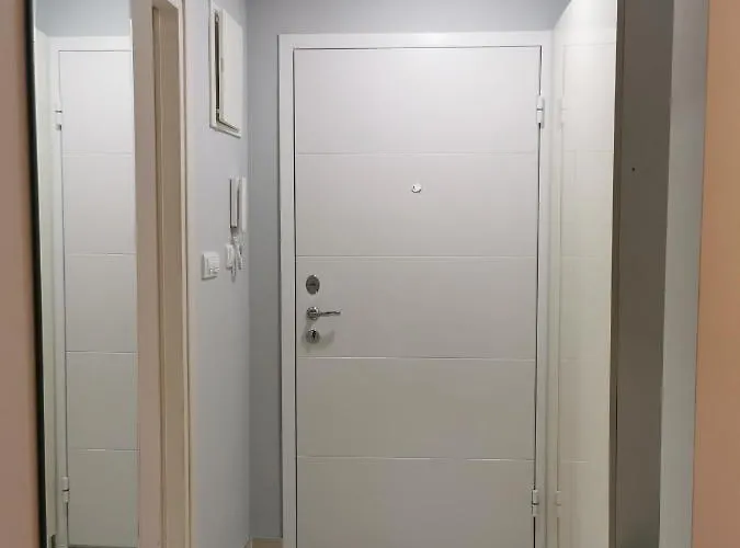 Nedic * ズラティボール