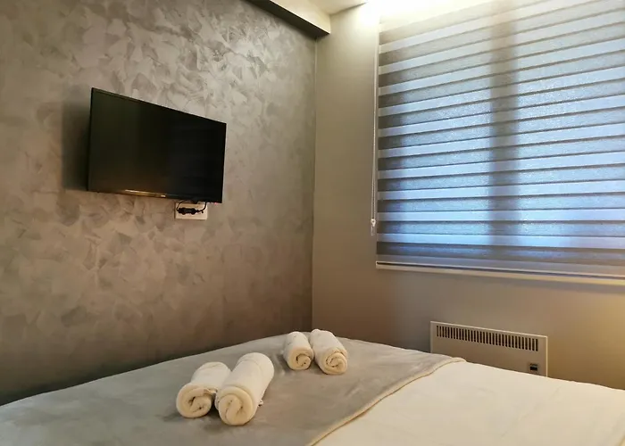 アパート Nedic ズラティボール