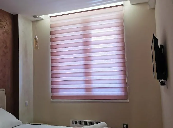 アパート Nedic ズラティボール